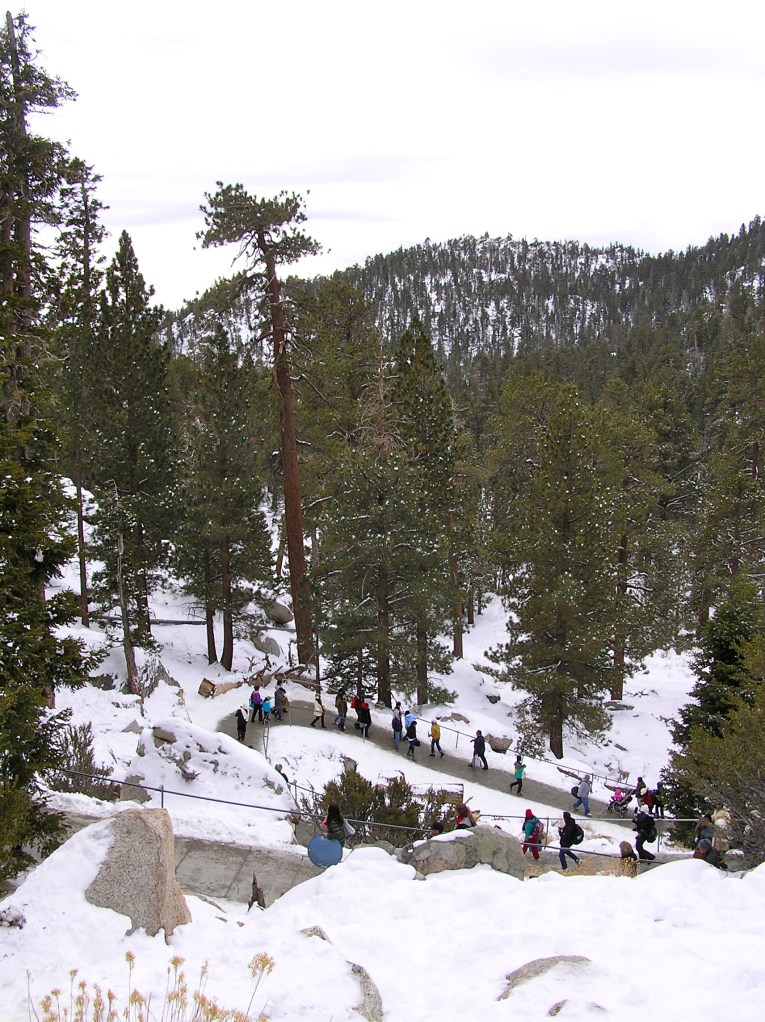 People making their way down from the lodge to the sledding hills.  The thirty degree difference in temperature means it stays cool (and snowy) on the mountain long after warmth has arrived in the desert valley below.  
