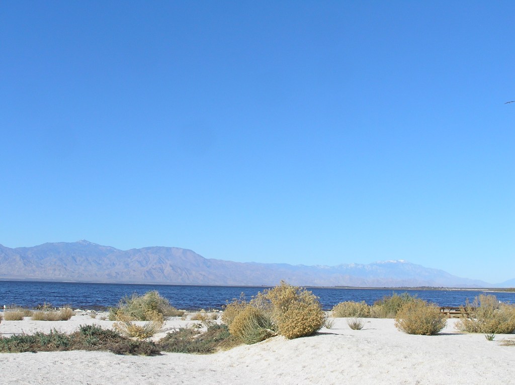 White sandy beaches. . .