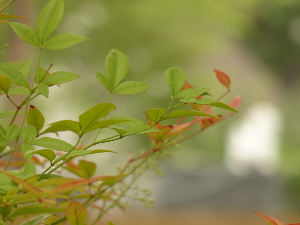 When honesty eclipses repentance