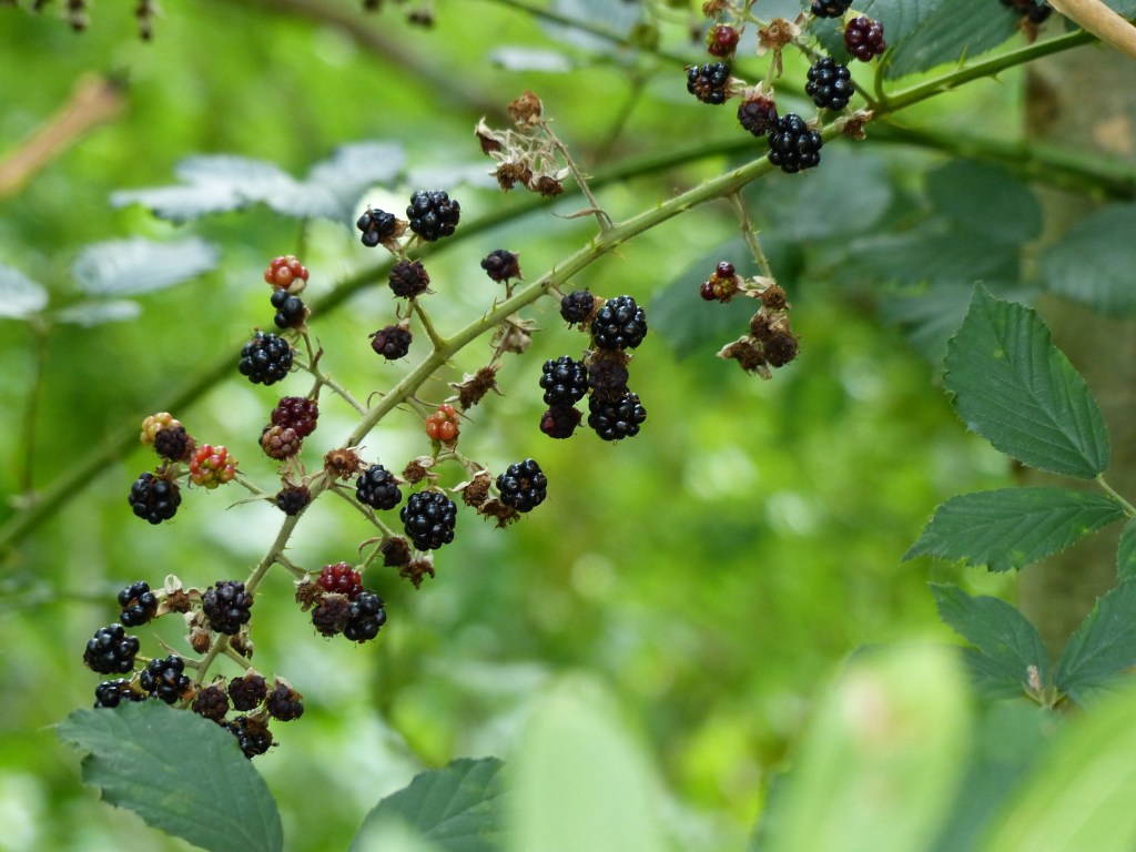 Part I: Surprised by&nbsp;BOUNTY