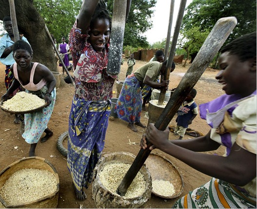 Photo: Evelyn Hockstein, New York Times