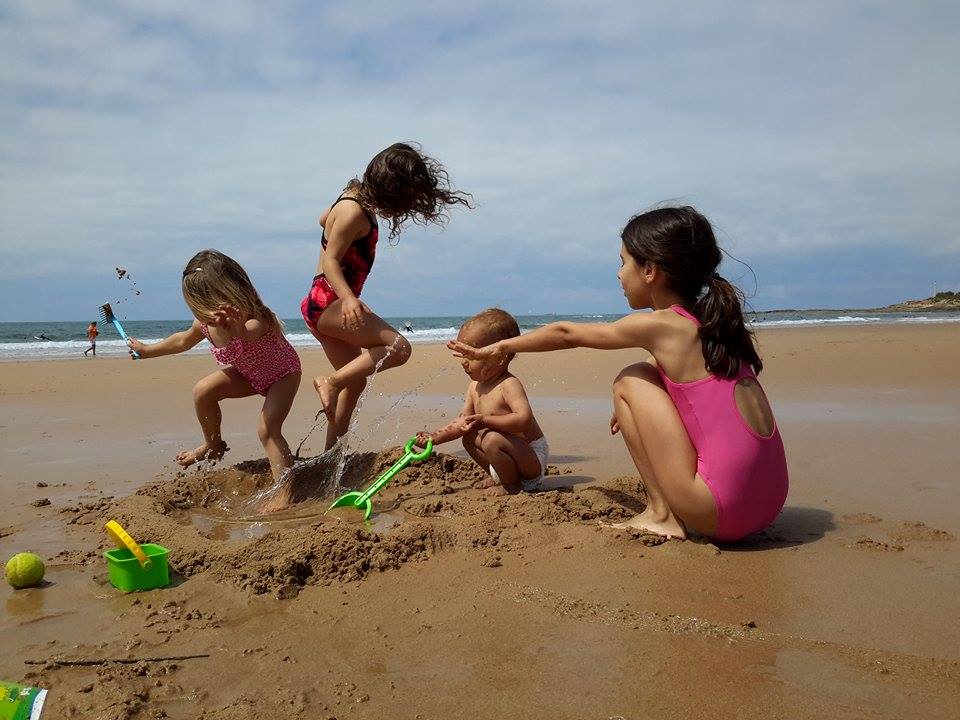 Photo courtesy of A.F. Freitas.