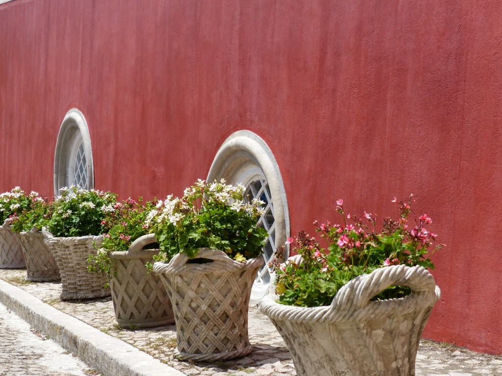 San Diego’s Best International&nbsp;Cafe