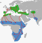 Migration pattern of the White Storks from Wikipedia. 