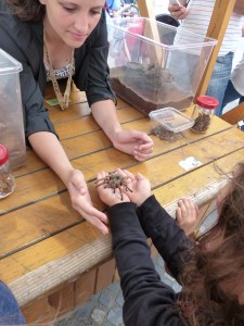 Holding a tarantula at the Ljubljana street science fair.