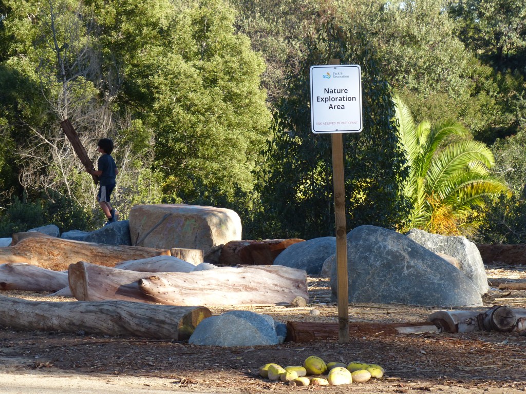 The Backyard We Didn’t Ask&nbsp;For